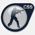 CSS Logo