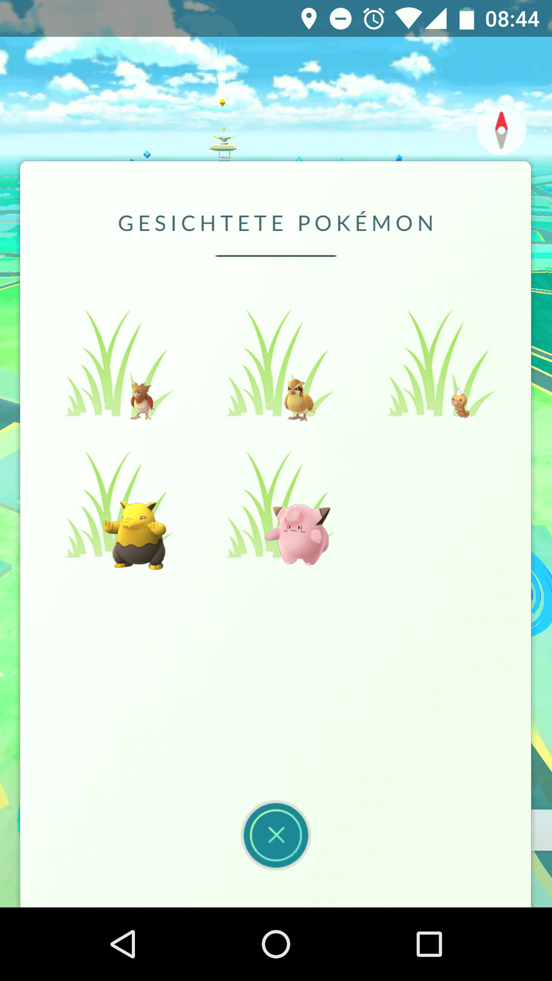 Pokémon Go Gesichtete Pokémon