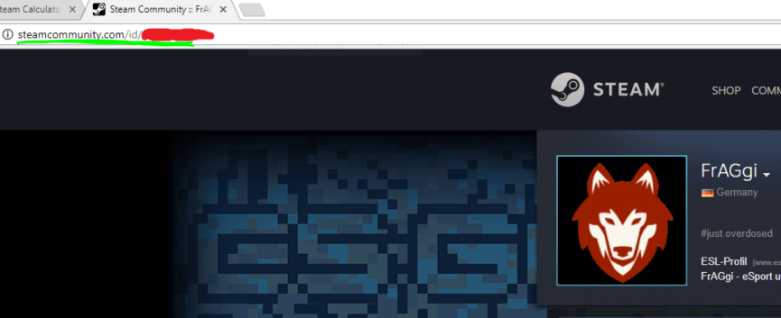 Wie Viel Ist Mein Steam Account Wert Steam Account Wert - Wie viel ist mein Steam Account wert?
